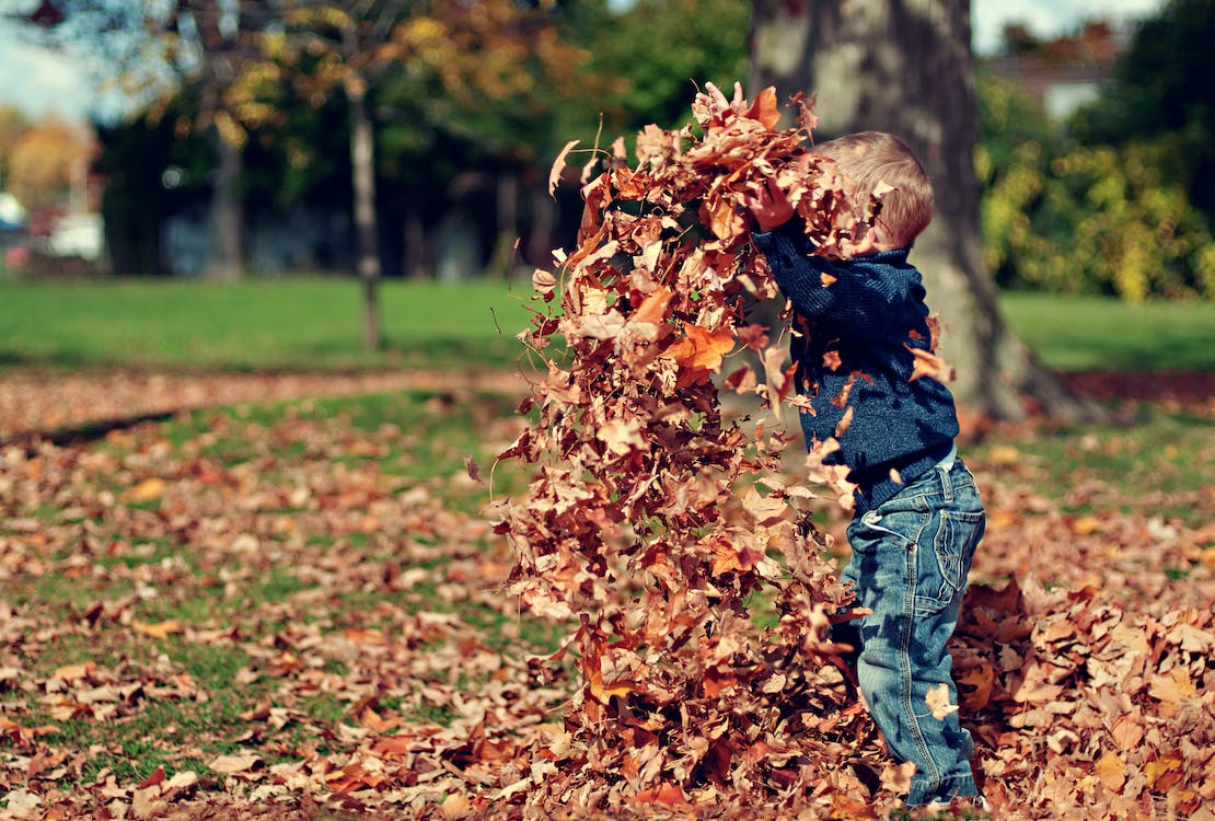 650001d998f2c6106414a57a pexels photo jpeg