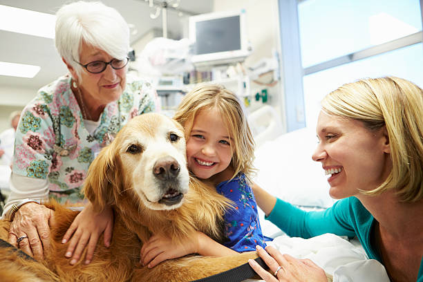 669a1e9cc86d022872f2bfcb animal assisted%2520therapy jpeg
