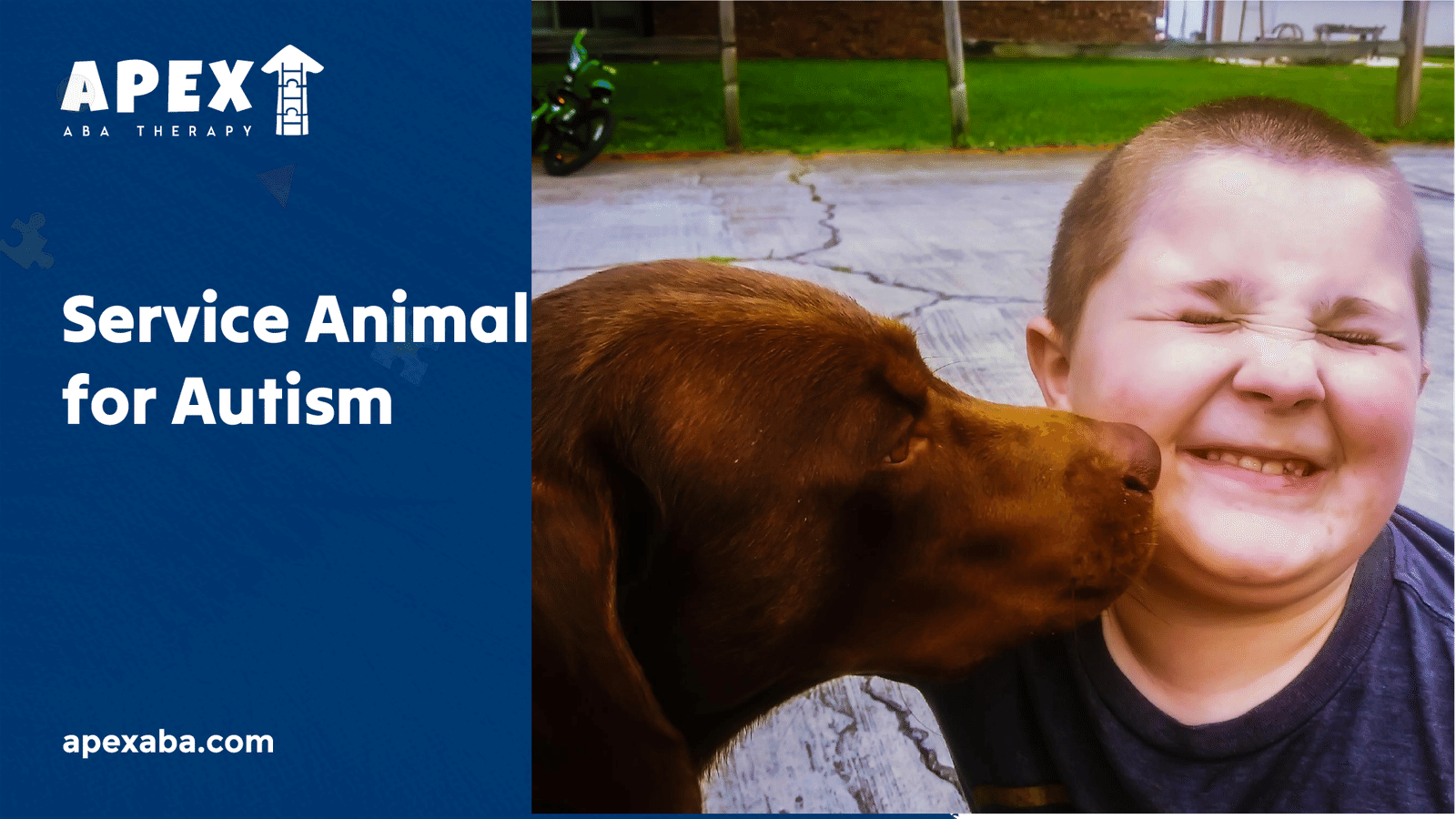 66aa11d79a7b8b2228ea7d90 669d461fc626bebd87d0f390 Benefits%2520of%2520Animal Assisted%2520Therapy%2520for%2520Autism1 png