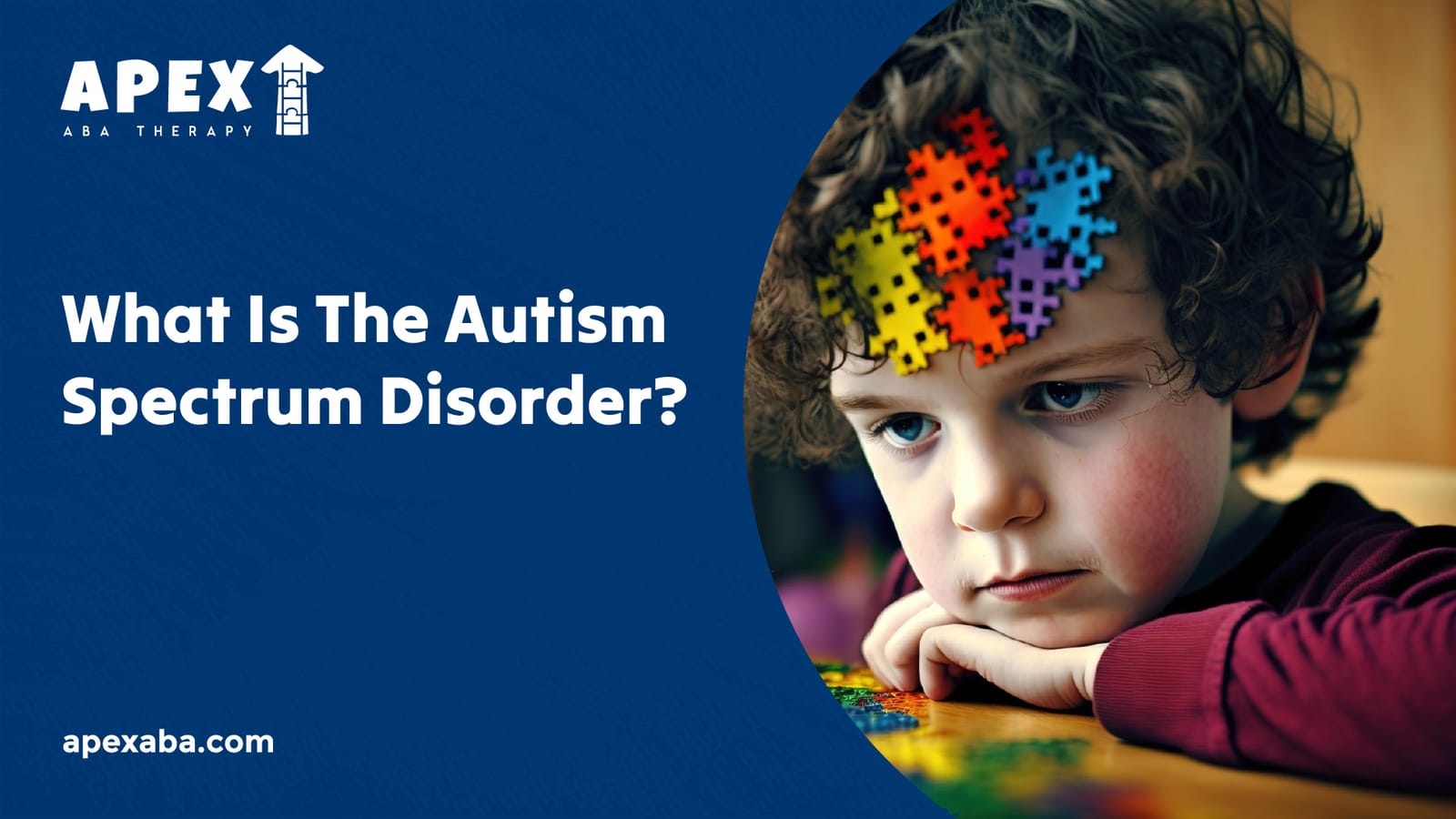 677bb663e556af93ce932958 666b848e540fb7f3294a974a What%2520Is%2520The%2520Autism%2520Spectrum%2520Disorder  80 jpeg