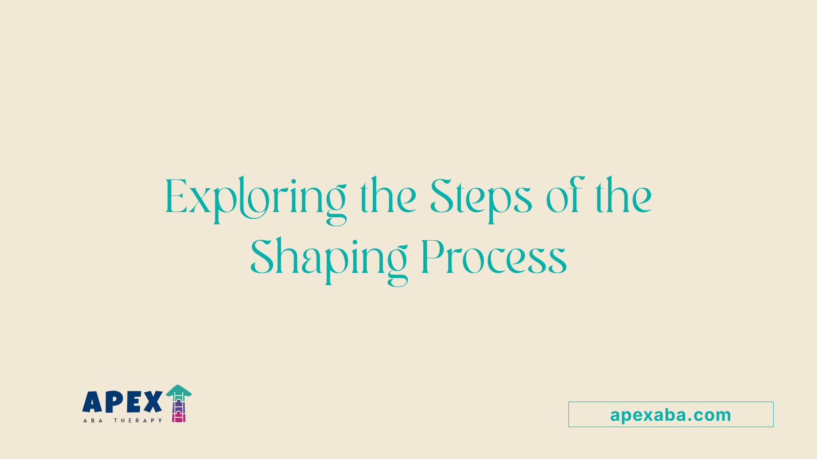 Exploring the Steps of the Shaping Process