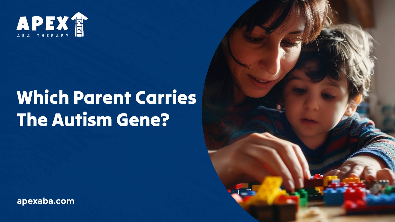 699306e0e9c8fae874fc71e0 666d264876abb0b9bdf1b015 Which%2520Parent%2520Carries%2520The%2520Autism%2520Gene  80 jpeg