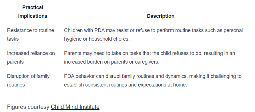 Breaking Down the Puzzle: Identifying PDA in a Childs Actions