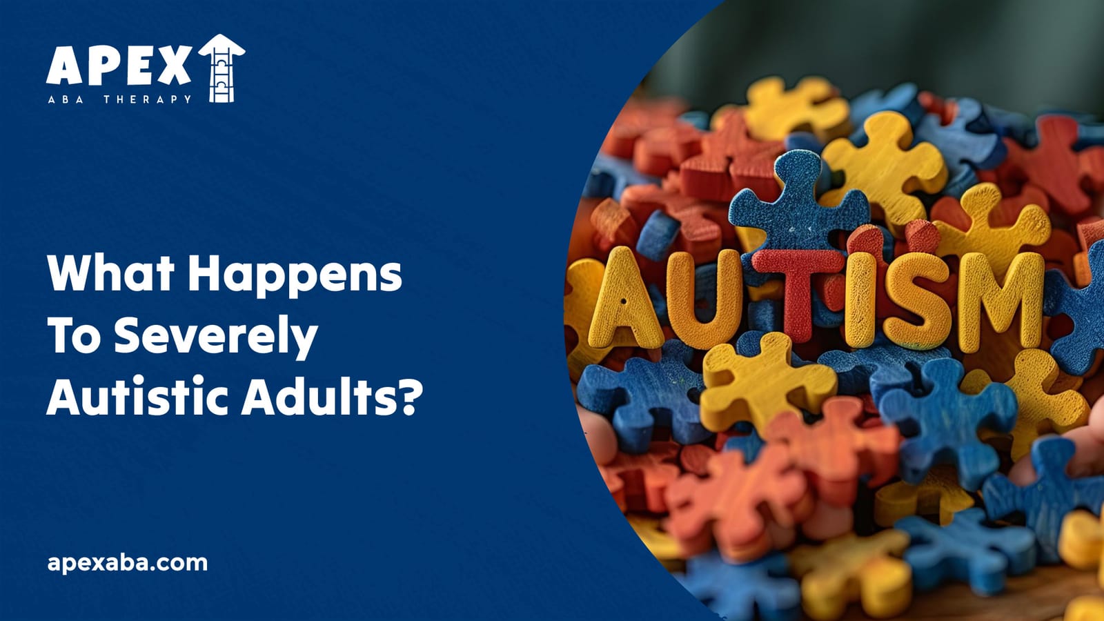 699307b7b1d88b0e1298187d 666d267a6dbf360b18f65170 What%2520Happens%2520To%2520Severely%2520Autistic%2520Adults  80 jpeg