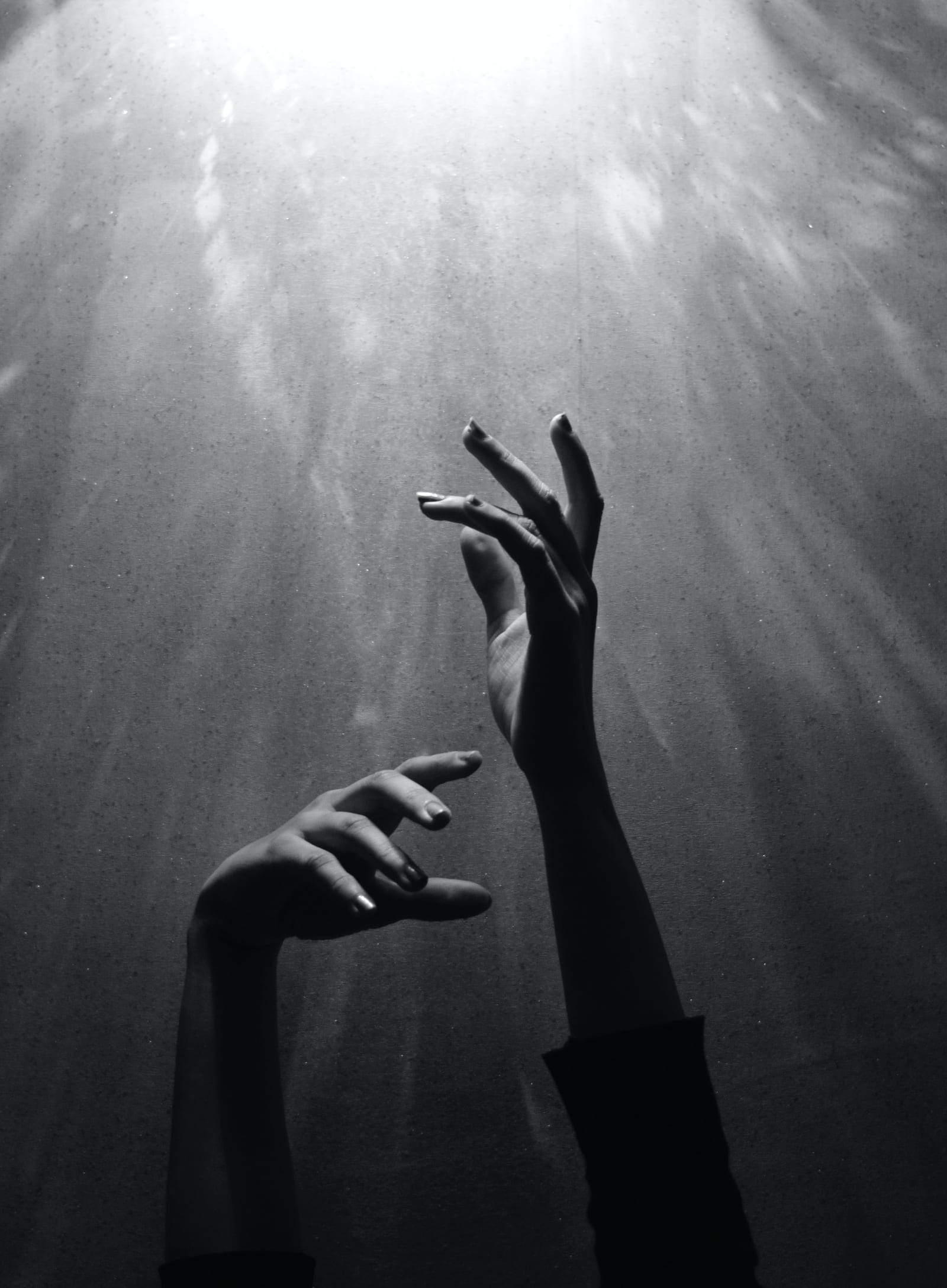 6993086dd0f4e44dbd227550 657234c89c733981522e6c8c i am nah  S4OsO0c6Ts unsplash jpeg