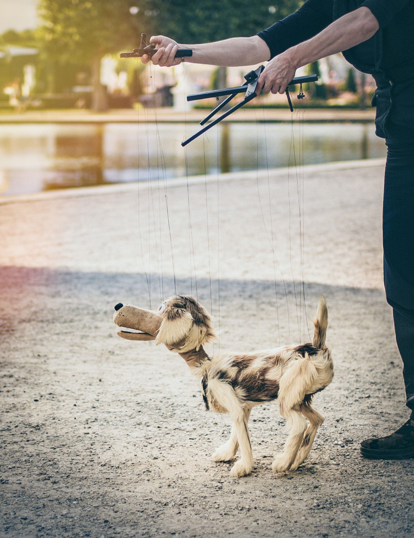 699308cfe75de7af56276429 65739439378b5ac2b8aefe27 eric masur jqrX8cSeVbQ unsplash jpeg