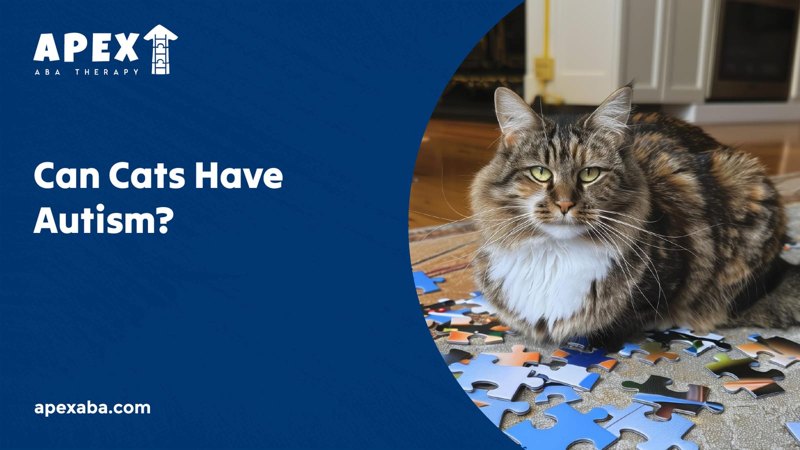 69930a08eecfaaaa6433b7c1 666d2260c2f87c2c3645313c Can%2520Cats%2520Have%2520Autism 80 jpeg