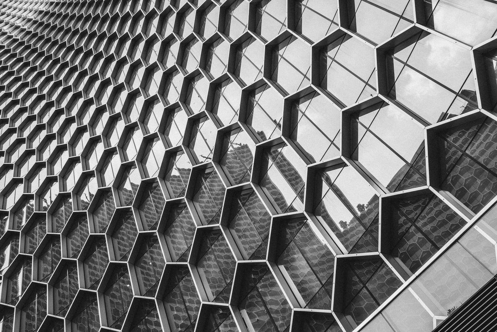 69930b4d15223e9193ecfd4a 65553192b72931b4e9ead21f pexels soloman soh 1492232 jpeg