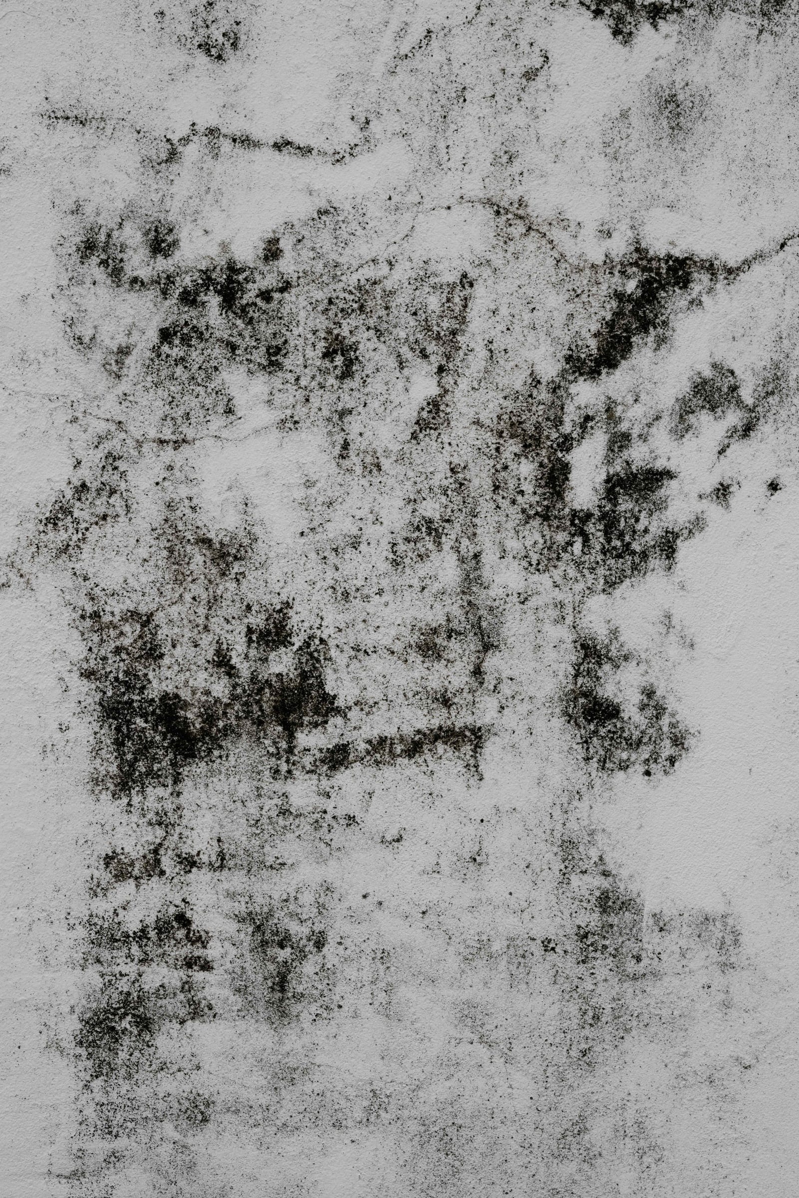 69930b52a3c07604d053457f 6507f8e5a78139f892e15273 annie spratt UR2DMIFuc5c unsplash%2520(1) jpeg