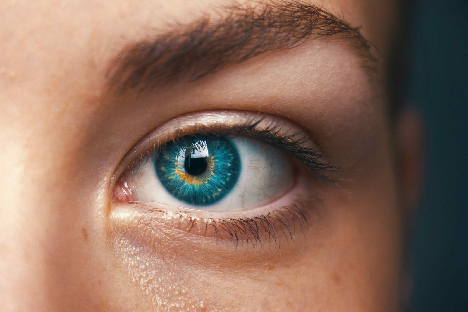 69930b8fe64259c68886cf69 65b22354b5bc39a71b6417bb amanda dalbjorn UbJMy92p8wk unsplash%2520(1) jpeg