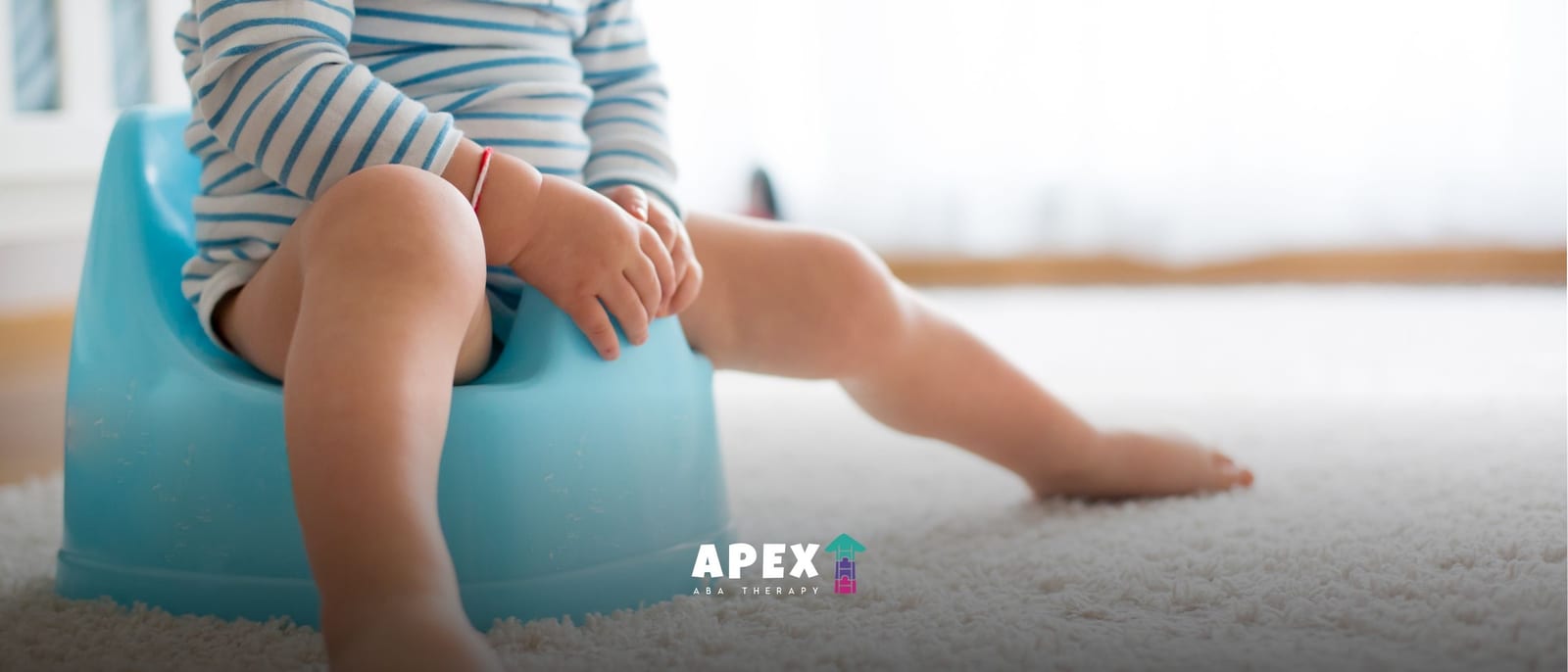 Potty Training an Autistic Child