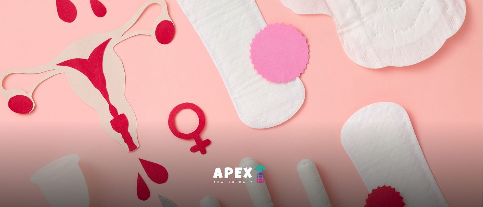 A flat lay on a pink background featuring a paper cutout of a uterus, menstrual pads, tampons, a menstrual cup, and a female gender symbol icon.